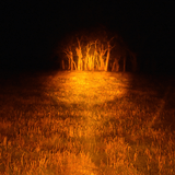 Blitz 240mm Handheld Filter – Amber Spot