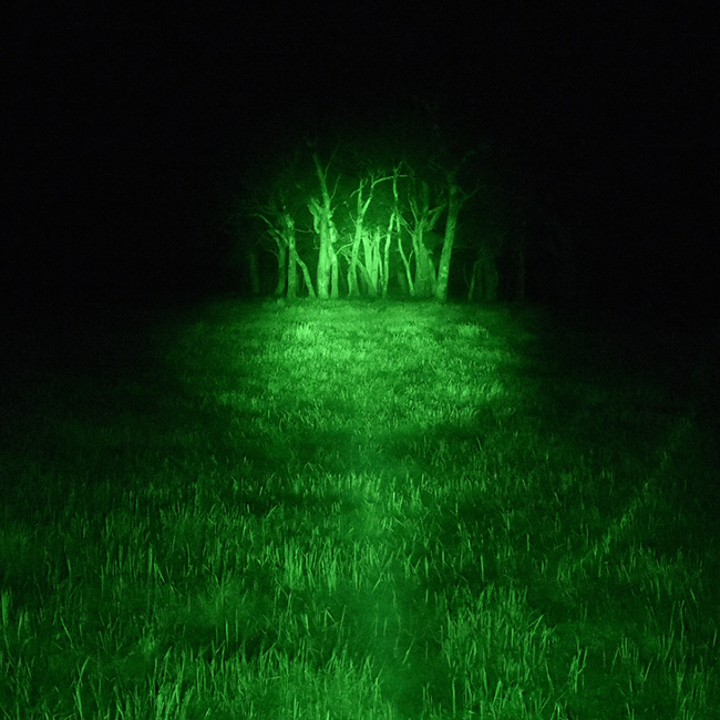 Blitz 240mm Handheld Filter – Green Spot