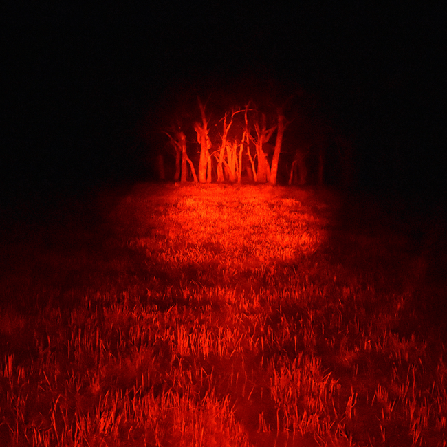 Blitz 240mm Handheld Filter – Red Spot