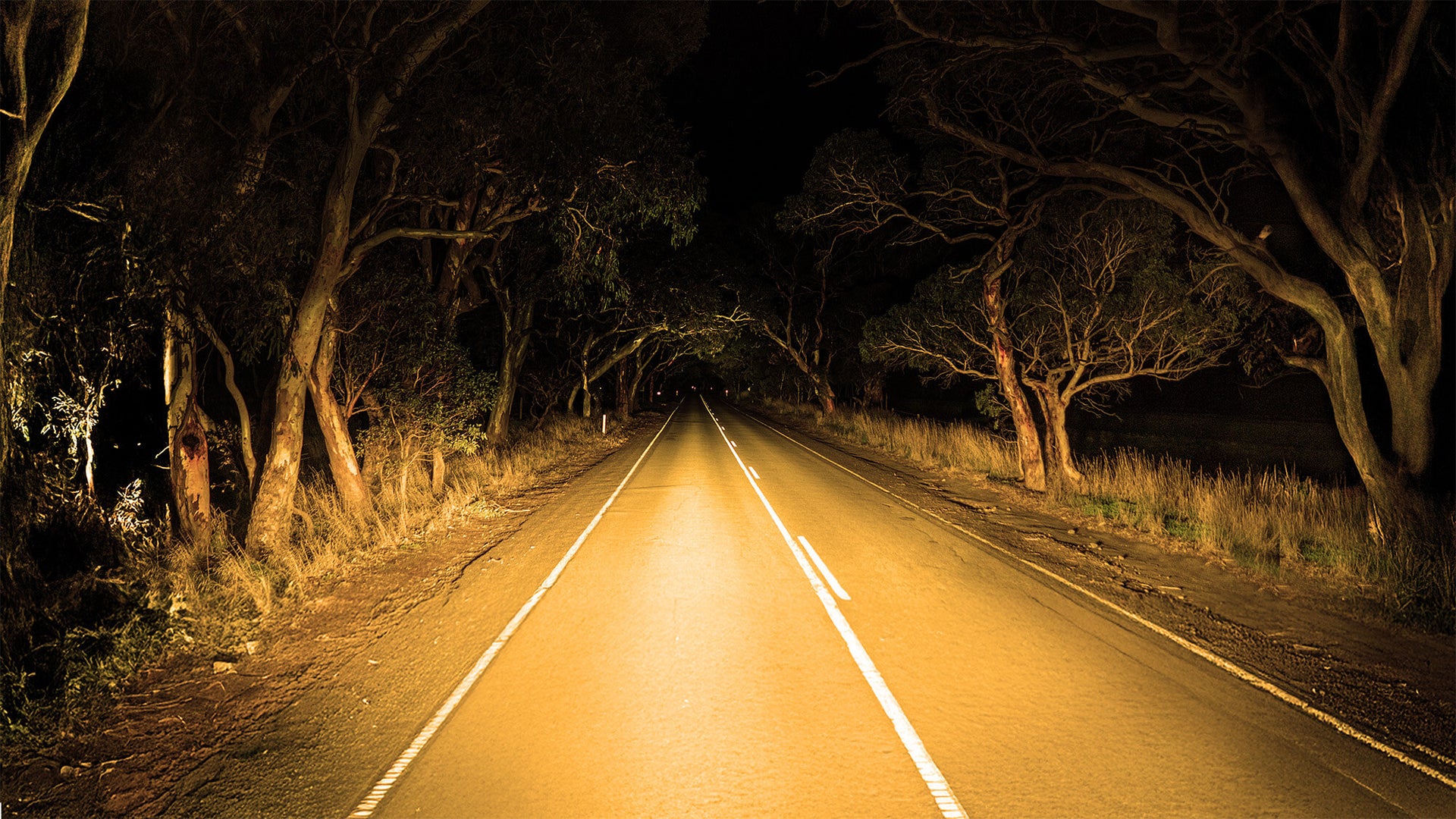 Lightbar