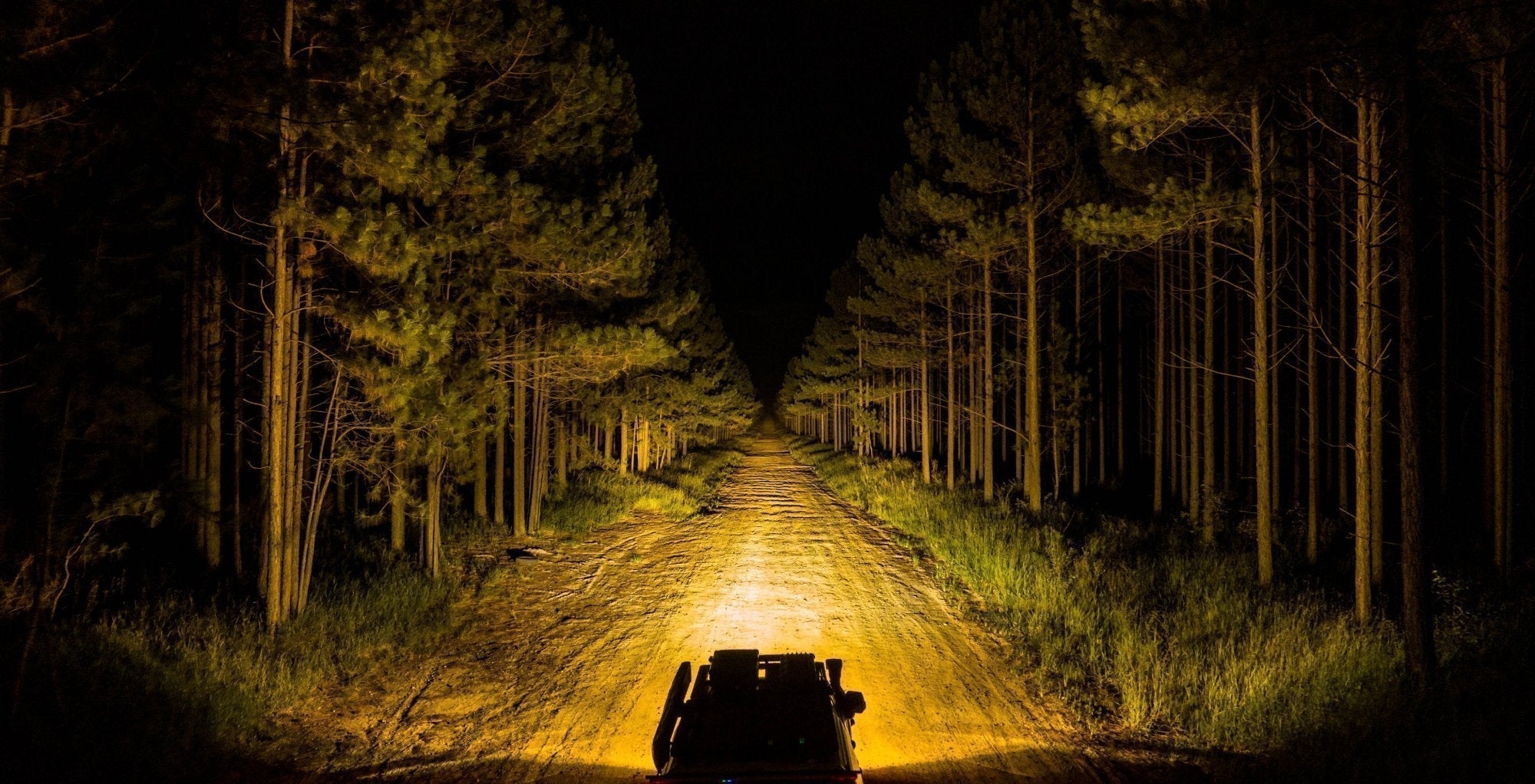 How Amber Filters Help Hunters See More Clearly at Night