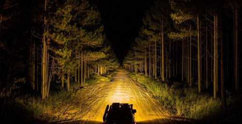 How Amber Filters Help Hunters See More Clearly at Night