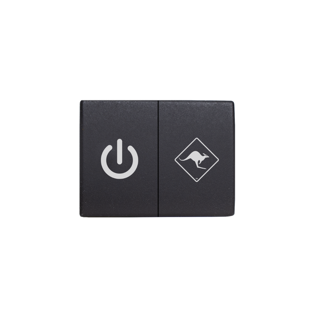 Generic Dual Switch To Suit Next-Gen Ford Fascia