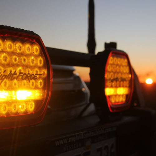 beast-amber-showcase-1.jpg__PID:8e0a14e7-610a-46e5-a87b-a1a188117417