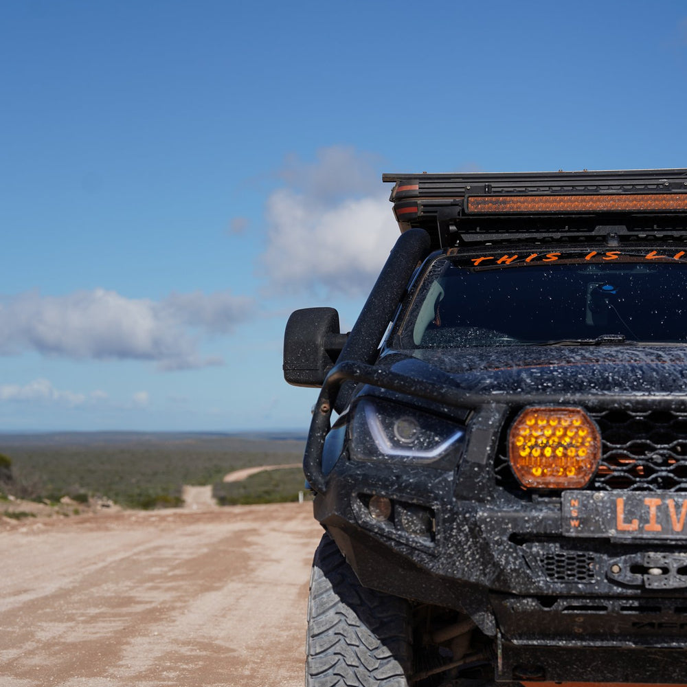 beast-amber-showcase-3.jpg__PID:348e0a14-e761-4aa6-a5a8-7ba1a1881174