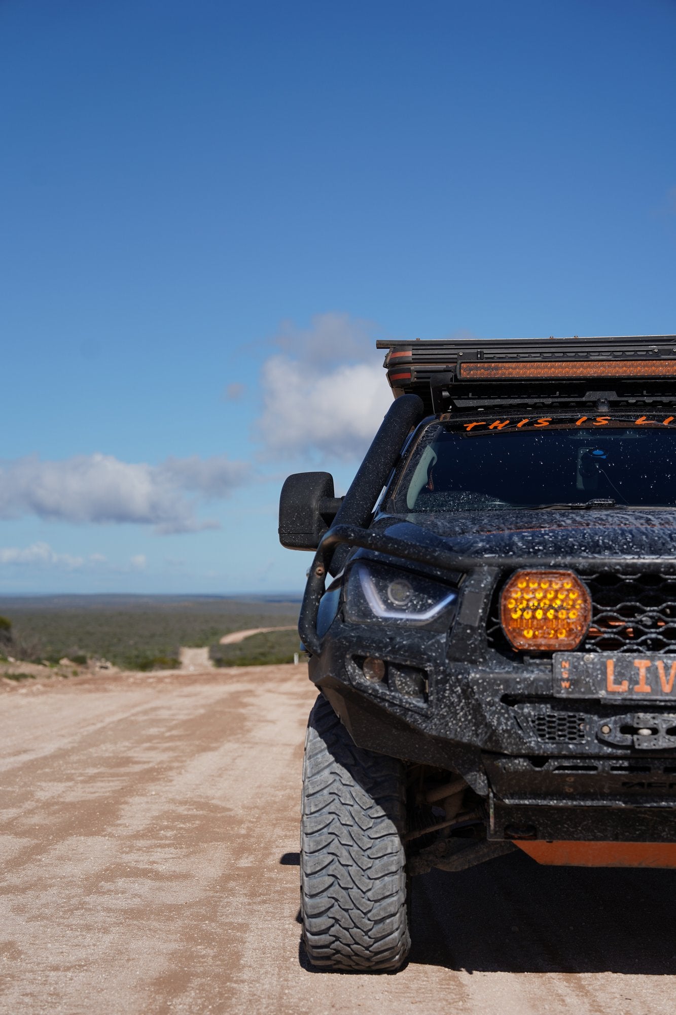 beast-amber-showcase-3.jpg__PID:348e0a14-e761-4aa6-a5a8-7ba1a1881174