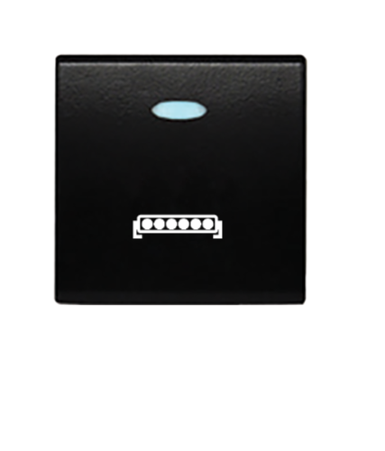 Custom Switch to suit Toyota 300 Series, Prado 250, Prado 150 & more (Customized)